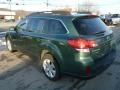 2010 Cypress Green Pearl Subaru Outback 2.5i Limited Wagon  photo #3