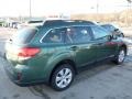 2010 Cypress Green Pearl Subaru Outback 2.5i Limited Wagon  photo #5