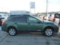 2010 Cypress Green Pearl Subaru Outback 2.5i Limited Wagon  photo #6