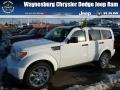 Bright White - Nitro Heat 4x4 Photo No. 1