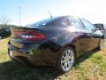 Pitch Black - Dart SXT Photo No. 3