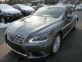 Nebula Gray Pearl - LS 460 L AWD Photo No. 7