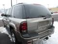 2002 Light Pewter Metallic Chevrolet TrailBlazer LS 4x4  photo #3