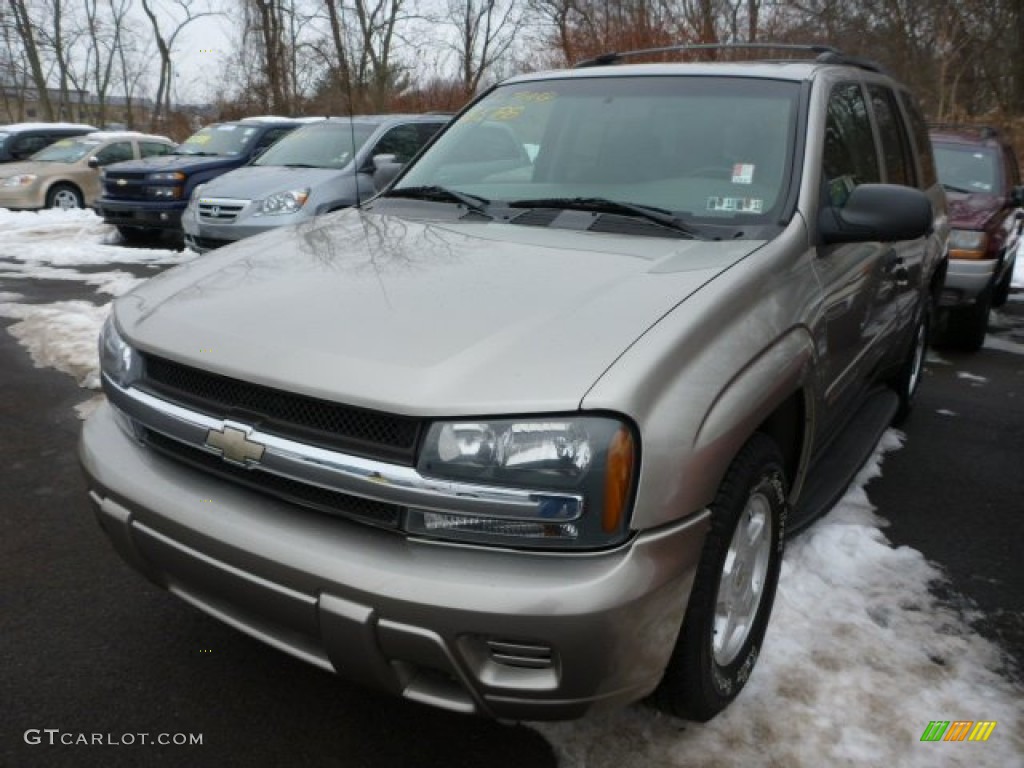 2002 TrailBlazer LS 4x4 - Light Pewter Metallic / Dark Pewter photo #4