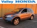2010 Urban Titanium Metallic Honda CR-V EX-L AWD  photo #1