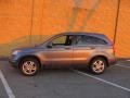 2010 Urban Titanium Metallic Honda CR-V EX-L AWD  photo #2