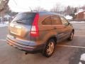 2010 Urban Titanium Metallic Honda CR-V EX-L AWD  photo #4