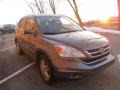 2010 Urban Titanium Metallic Honda CR-V EX-L AWD  photo #5