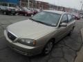 Champagne Metallic - Elantra GLS Sedan Photo No. 4