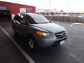 2007 Steel Gray Hyundai Santa Fe GLS  photo #7