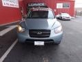 Steel Gray - Santa Fe GLS Photo No. 8