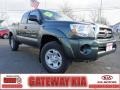 Timberland Mica - Tacoma Access Cab 4x4 Photo No. 1