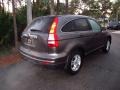 2010 Urban Titanium Metallic Honda CR-V EX-L  photo #3