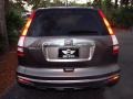 2010 Urban Titanium Metallic Honda CR-V EX-L  photo #4