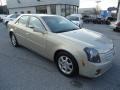Gold Mist - CTS Sedan Photo No. 4