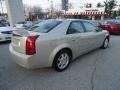Gold Mist - CTS Sedan Photo No. 6