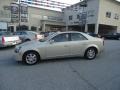 Gold Mist - CTS Sedan Photo No. 9