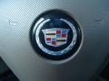 Gold Mist - CTS Sedan Photo No. 28