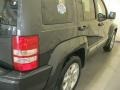 2010 Dark Charcoal Pearl Jeep Liberty Limited 4x4  photo #14