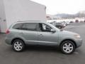 2008 Platinum Sage Hyundai Santa Fe Limited 4WD  photo #6