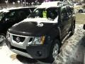 Night Armor Metallic 2010 Nissan Xterra SE 4x4