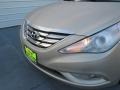 2011 Camel Pearl Hyundai Sonata Limited  photo #10