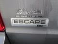 2009 Sterling Grey Metallic Ford Escape XLT V6  photo #16