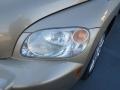 Sandstone Metallic - HHR LS Photo No. 8