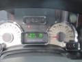 2013 Ford Expedition King Ranch Gauges