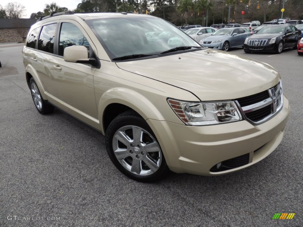 White Gold 2010 Dodge Journey SXT Exterior Photo #75615660