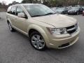White Gold 2010 Dodge Journey SXT Exterior