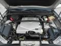 Light Platinum - SRX V6 Photo No. 21