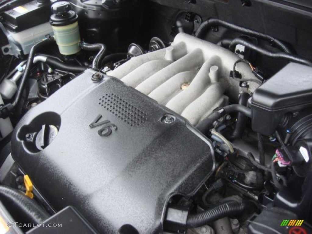 2009 Hyundai Santa Fe GLS Engine Photos