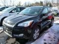 Tuxedo Black Metallic 2013 Ford Escape SEL 1.6L EcoBoost 4WD Exterior