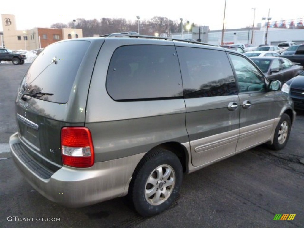 2004 Sedona EX - Sage Green / Gray photo #12