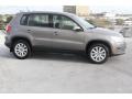 2009 Alpine Grey Metallic Volkswagen Tiguan S  photo #9