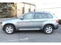 Space Grey Metallic 2010 BMW X5 xDrive30i Exterior