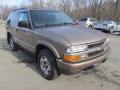 2004 Sandalwood Metallic Chevrolet Blazer LS 4x4  photo #9