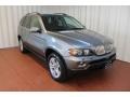 Sterling Grey Metallic - X5 4.4i Photo No. 1