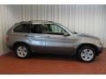 Sterling Grey Metallic - X5 4.4i Photo No. 3