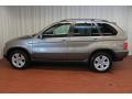 Sterling Grey Metallic - X5 4.4i Photo No. 4