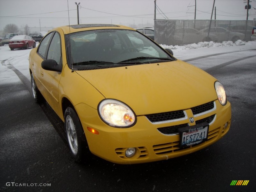 2004 Neon SXT - Solar Yellow / Dark Slate Gray photo #4