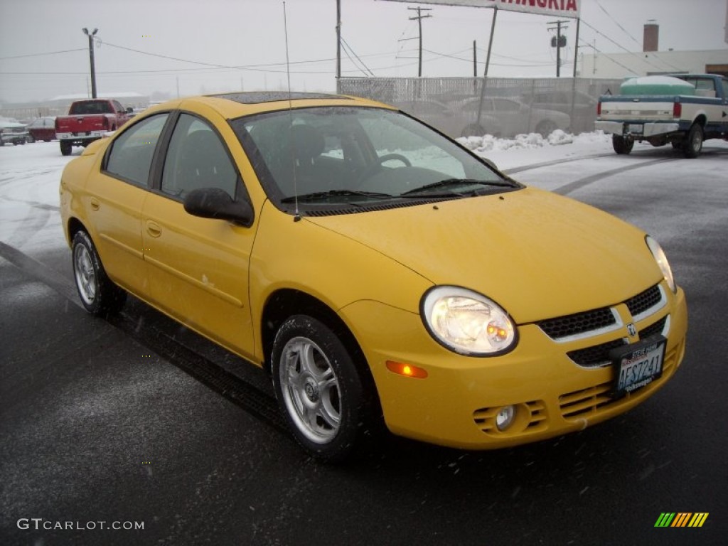 2004 Neon SXT - Solar Yellow / Dark Slate Gray photo #5