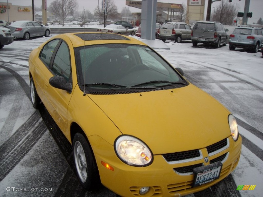 2004 Neon SXT - Solar Yellow / Dark Slate Gray photo #7