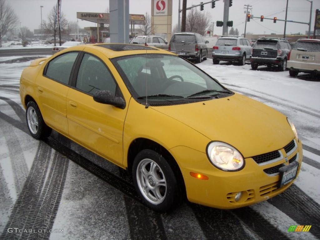 2004 Neon SXT - Solar Yellow / Dark Slate Gray photo #8