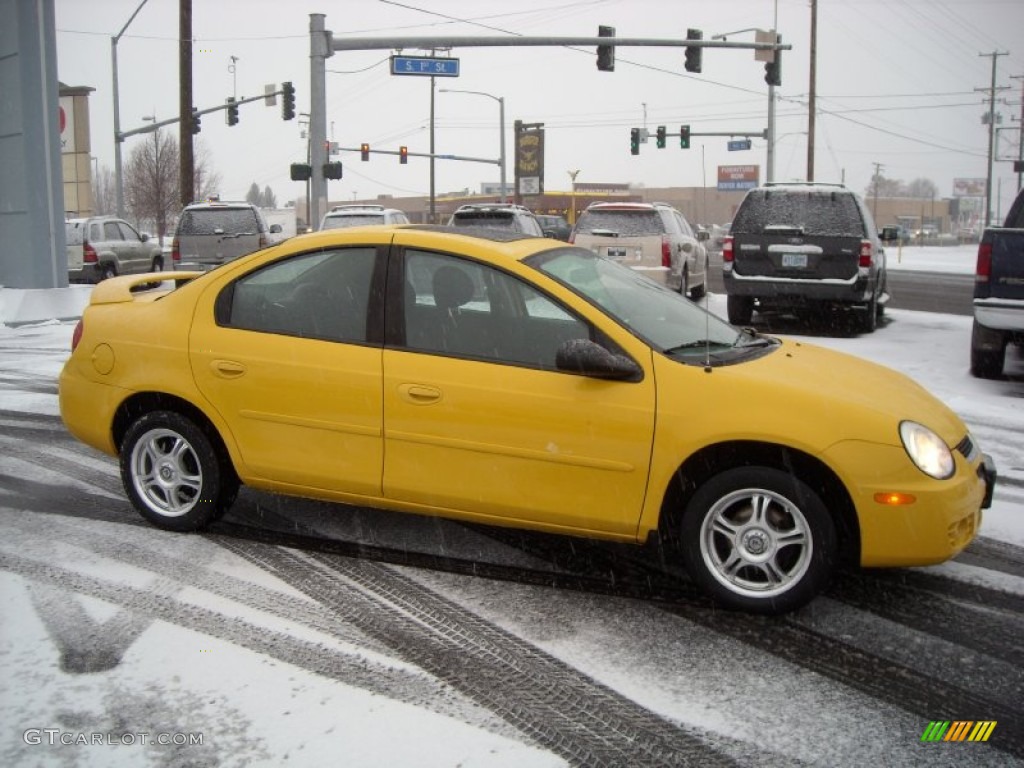 2004 Neon SXT - Solar Yellow / Dark Slate Gray photo #11