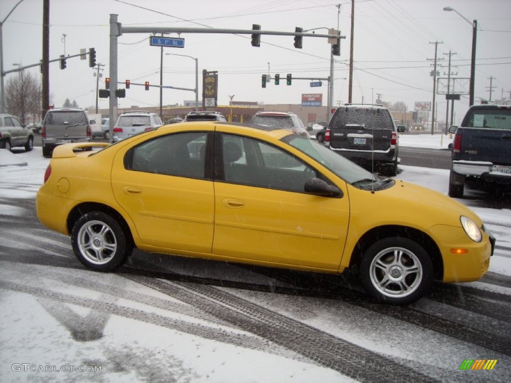 2004 Neon SXT - Solar Yellow / Dark Slate Gray photo #12