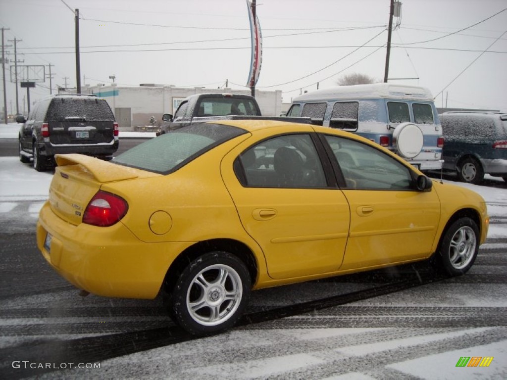 2004 Neon SXT - Solar Yellow / Dark Slate Gray photo #13