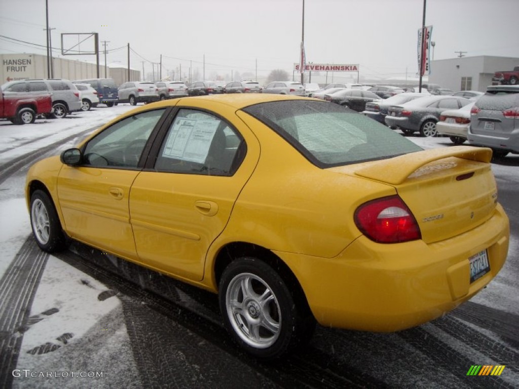 2004 Neon SXT - Solar Yellow / Dark Slate Gray photo #18