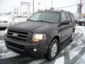 Carbon Metallic 2007 Ford Expedition Limited 4x4